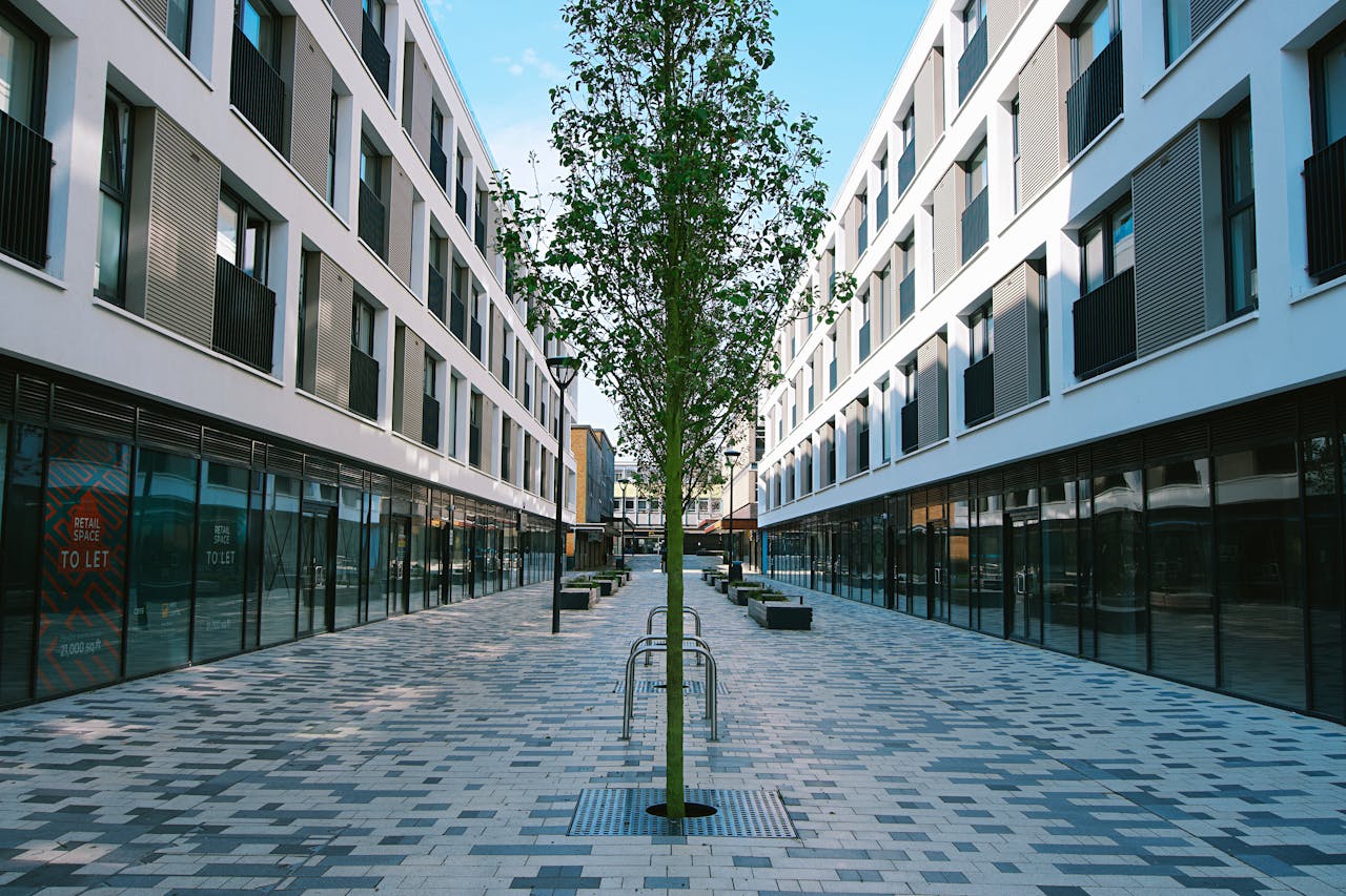 gallery-1 Contemporary street view of modern buildings with tree, UK.